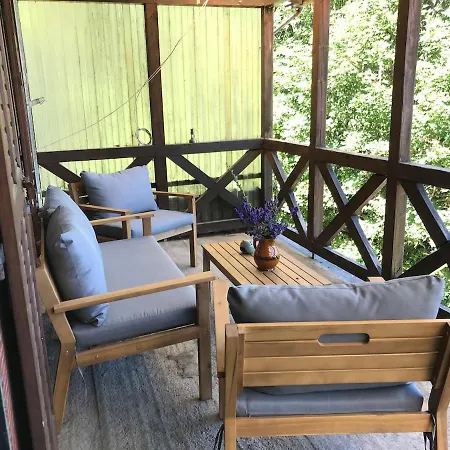 De Montagne Au Hilsen - 2 A 6 Personnes Linthal